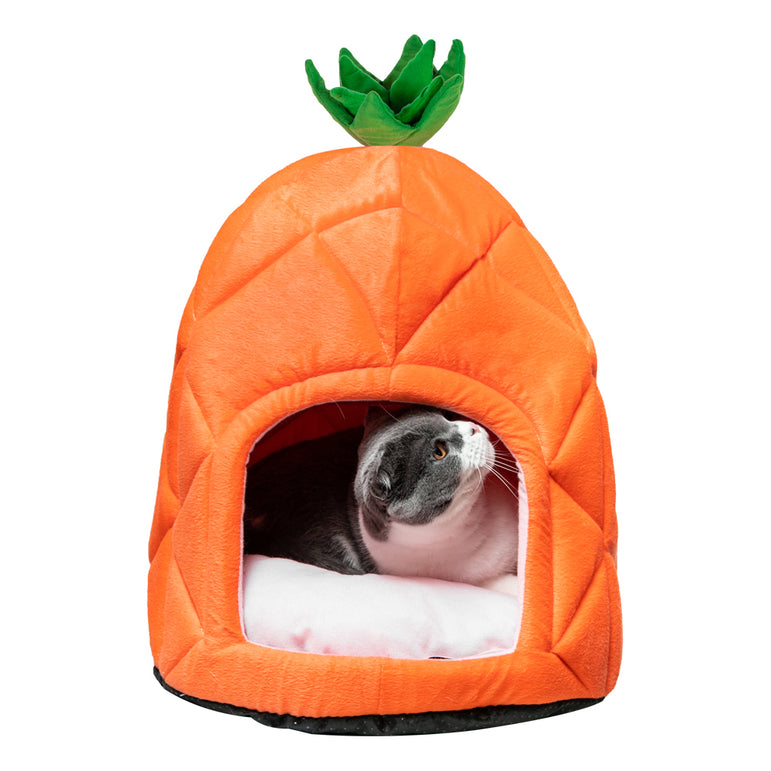 Dog clearance bed pineapple